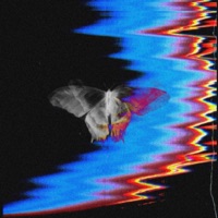 Cocoon - Single - Ōkami