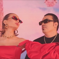 Formidable (Numar Zilele) - Single - Asu & Lunna