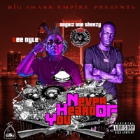 Never Heard of You (feat. One Theezy) - Single - Cee Nyle
