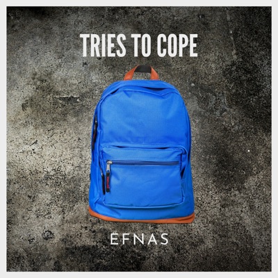EFNAS - Be In Control