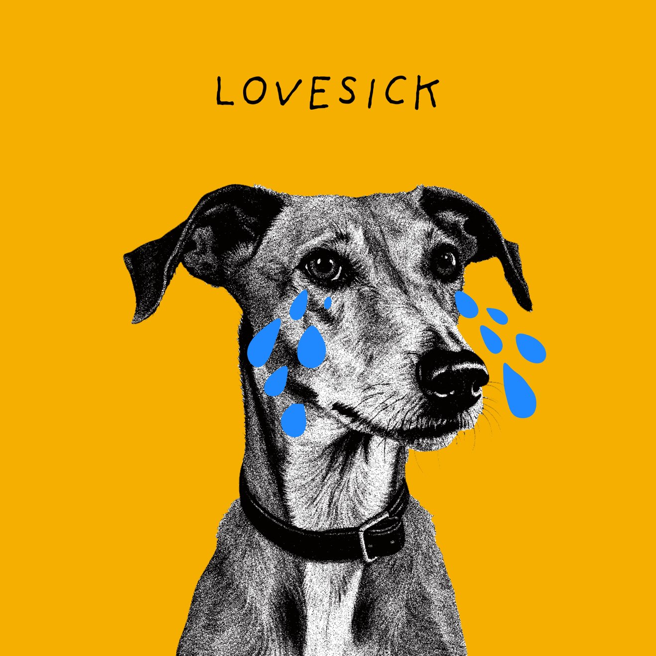 Gavin James – Lovesick – Single (2024) [iTunes Match M4A]