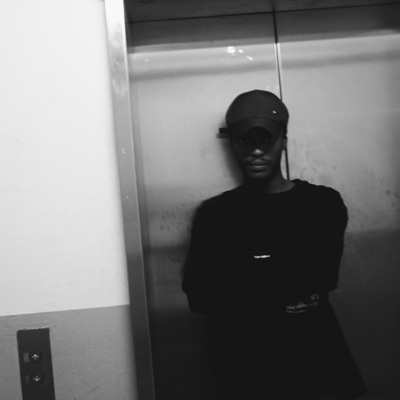 Dandelion (feat. Impure_Veal) - Single