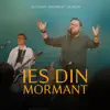 IES DIN MORMANT