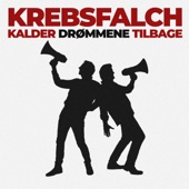 Kalder Drømmene Tilbage artwork