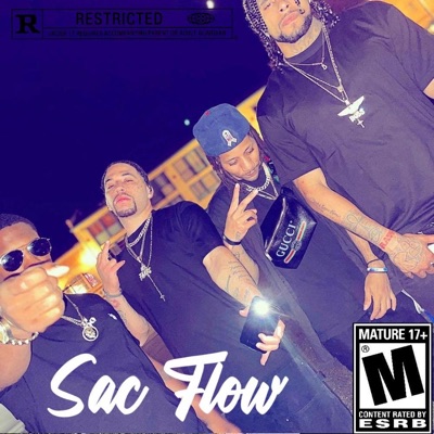 Sac Flow - Single
