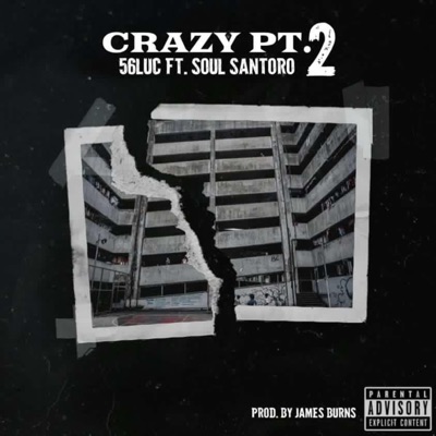 Crazy Pt. 2 (feat. Soul Santoro) - Single