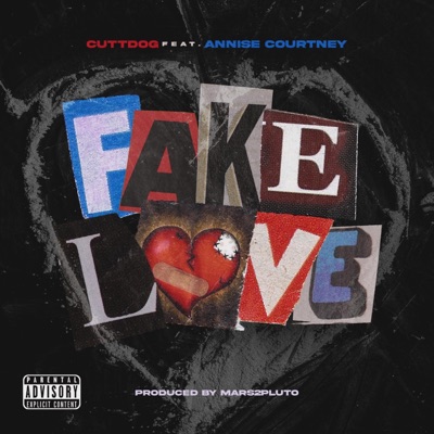 Fake Love (feat. Annise Courtney) - Single