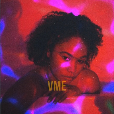 Vibe Means Everything (VME) (feat. Seshun) - Single