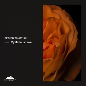 Mysterious Love - Single