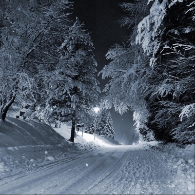 Cold December - Single