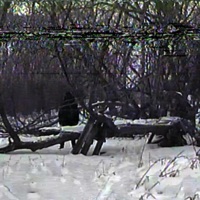 cold.world (feat. OmenXIII) - Single - trees