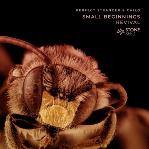 Small Beginnings (Gabriel Moraes Remix)