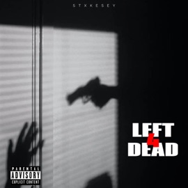 Left 4 Dead Stxkesey & Hundro
