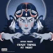 Crazy Things At Night artwork