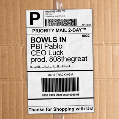 Bowls In (feat. CEO Luck) - Single
