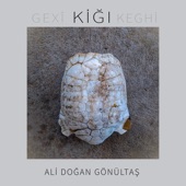 Ali Doğan Gönültaş - Bostano