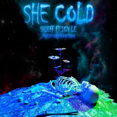 She Cold (feat. ICY LE) - Single