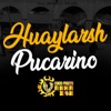 Huaylarsh Pucarino - Single