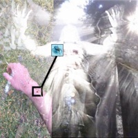 Tick - Single - DryBonez