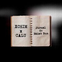 JURNAL DE BĂIAT BUN (feat. CALU) - Single - XCHIM