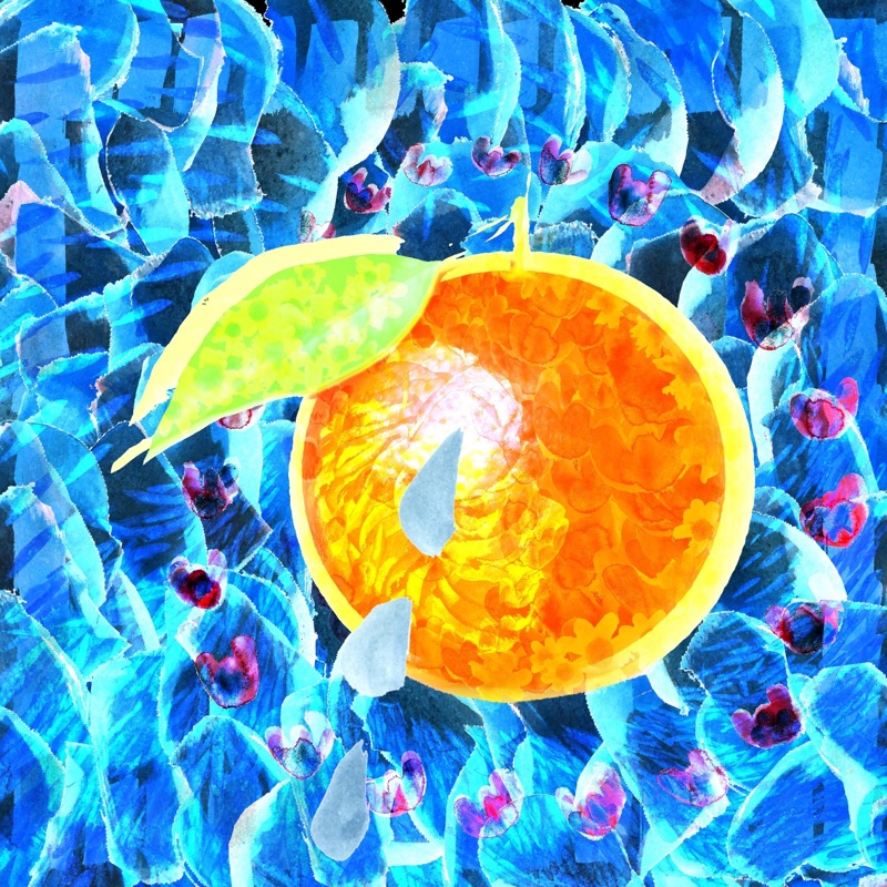 Orange - Single