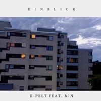 Einblick (feat. NIN) - Single - D-Pelt