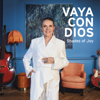 Shades of Joy - Vaya Con Dios