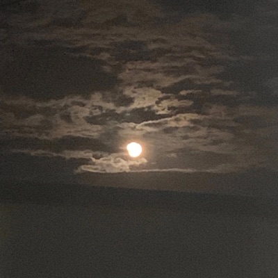 Next lifetime (feat. Leyvulture) - Single