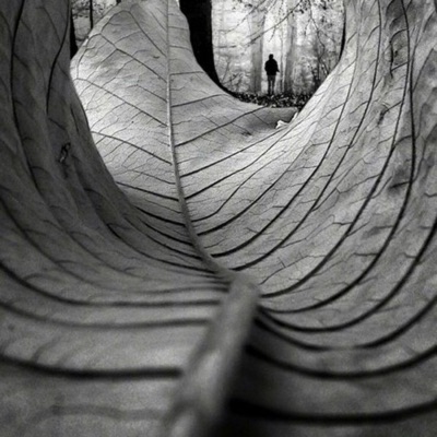 Dj joriss - perfecto