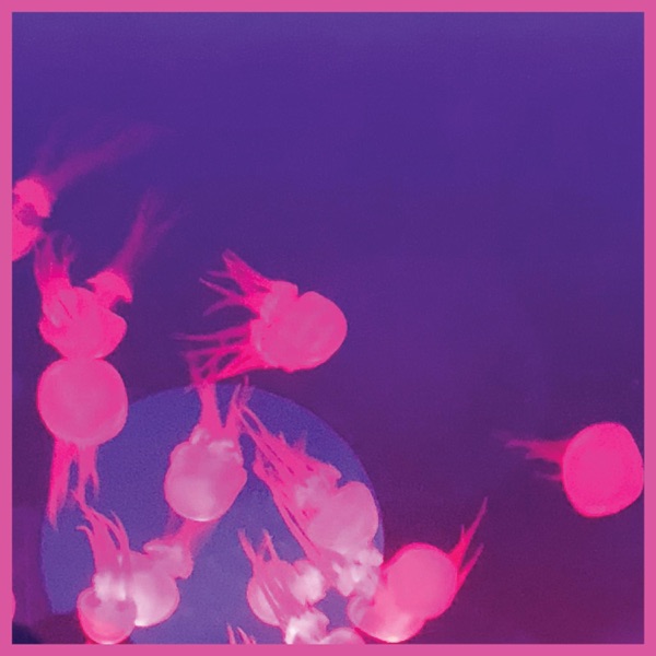 Moogie - Single