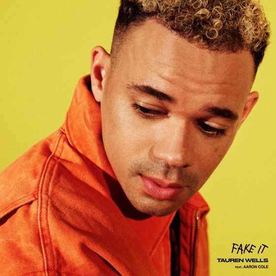 Cover artwork for Fake It (feat. Aaron Cole)