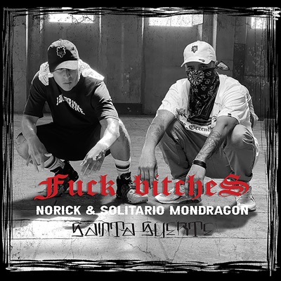 Fuck The Bitches - Single