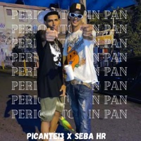 Periquito pin pan (feat. Picante13 & Seba hr) - Single - BRYAN ON THE DRUMS