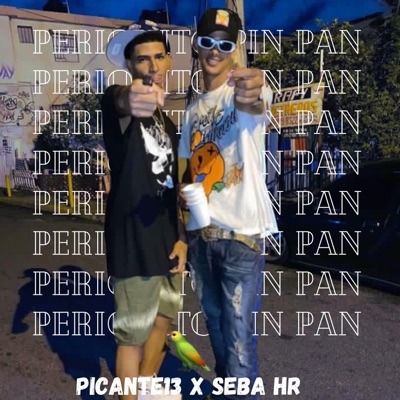 Periquito pin pan (feat. Picante13 & Seba hr) - Single