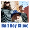 Dixie Chicken - Single