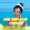 Are Deewani Chhodi - Single