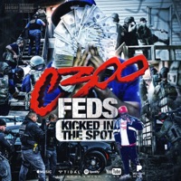 Feds kicked in the Spot - Single - C300
