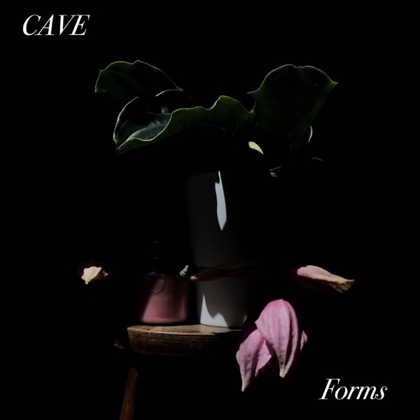 Forms - Single