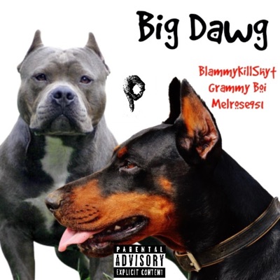 Big Dawg (feat. BlammyKillShyt, Grammy Boi & Melrose951) - Single