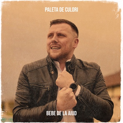 Song - Paleta De Culori - Bebe Florea