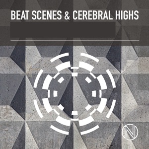 Beat Scenes & Cerebral Highs