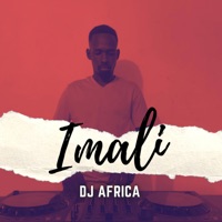 Imali (feat. SilvaPlatinum, Mfana Ka Mnisi & Frawlik) - Single - DJ Africa