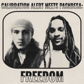 Calibration Alert - Freedom