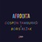 Afrodita (feat. Boris Režak) - Gospon Tamburaši lyrics