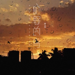 旷野的鸟 - Single
