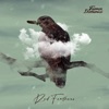 Red Feathers - Single