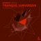Tranquil Subversive (Andrey Plavinskiy Remix) - Chris Hobbs lyrics