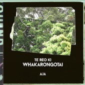 Te Reo Ki Whakarongotai artwork