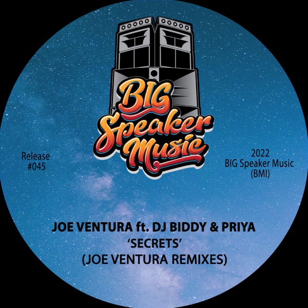 Secrets (feat. DJ Biddy & Priya) - Single