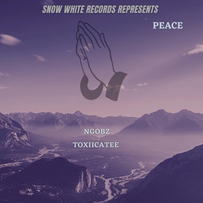 Peace (feat. Toxicatee) - Single